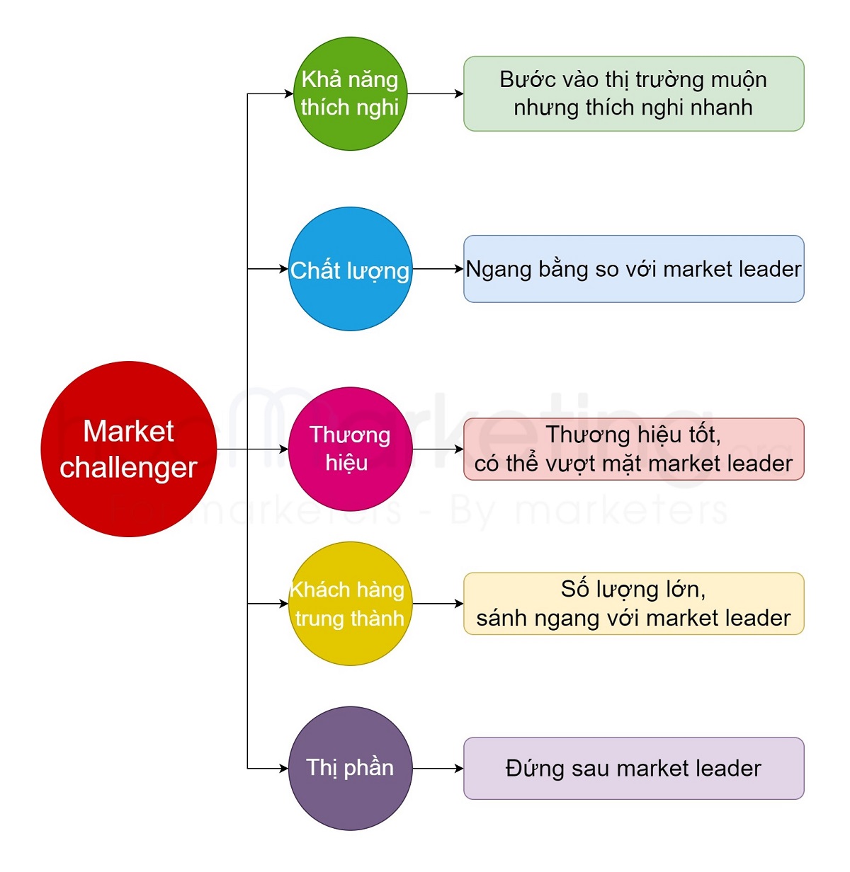 Các yếu tố làm nên một market challenger trong thị trường