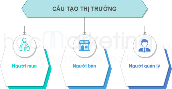 Cấu tạo của thị trường
