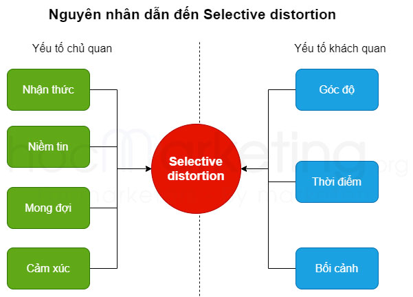 Nguyên nhân, các yếu tố dẫn đến hiện tượng Selective Distortion