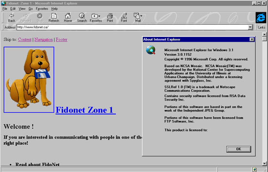 Internet Explorer 3.0