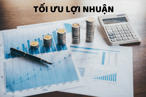 3. Tối ưu lợi nhuận theo từng quốc gia thị phần