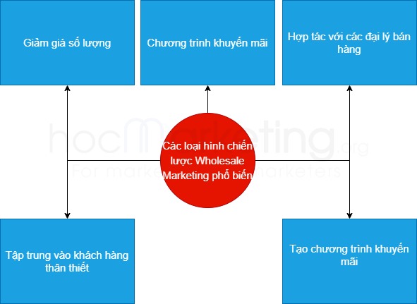 Các loại hình chiến lược Wholesale Marketing phổ biến