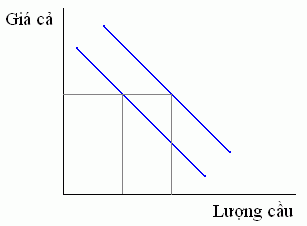 Cầu thị trường