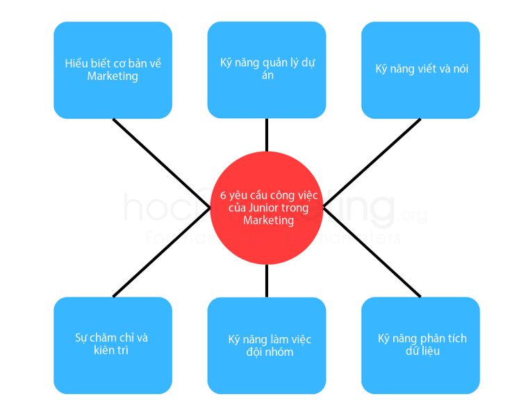 6 yêu cầu công việc của Junior trong Marketing