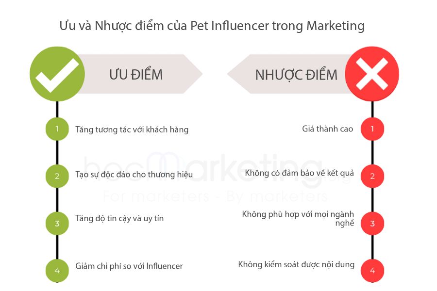 Ưu và Nhược điểm của Pet Influencer trong Marketing