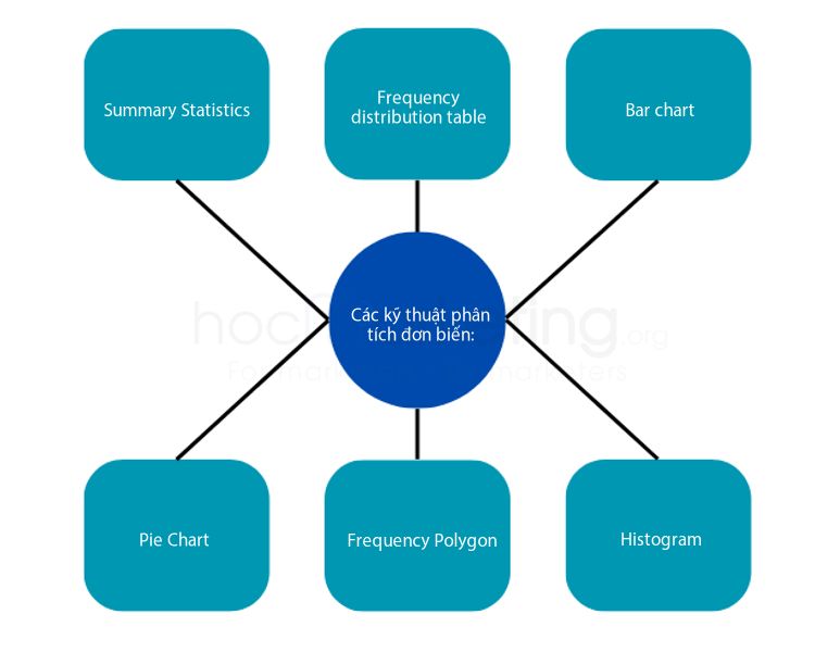 Các kỹ thuật phân tích đơn biến