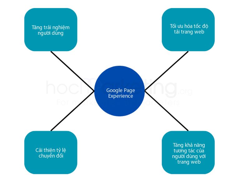 Tại sao Google Page Experience là quan trọng với website của bạn?