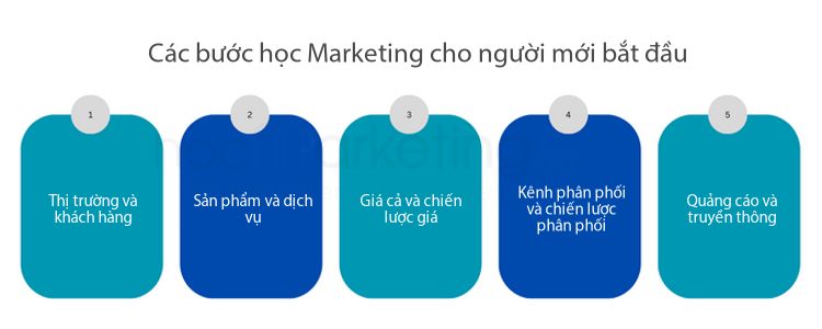Các bước học Marketing cho người mới bắt đầu