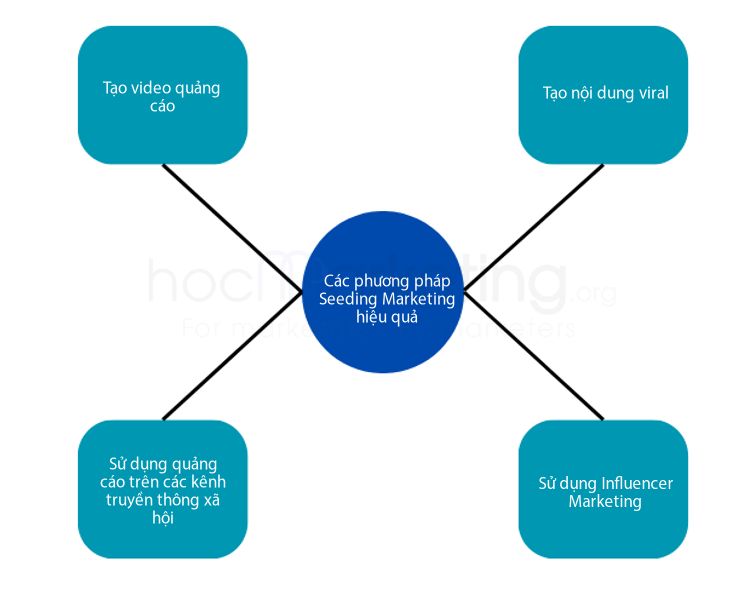 Các phương pháp Seeding Marketing hiệu quả