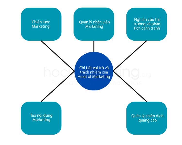 Chi tiết vai trò và trách nhiệm của Head of Marketing