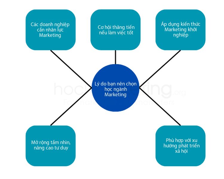 Lý do bạn nên chọn học ngành Marketing