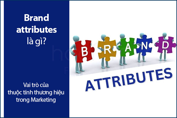 Brand attributes là gì? Vai trò của thuộc tính thương hiệu trong Marketing