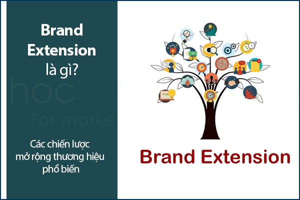 Brand Extension là gì? Các chiến lược mở rộng thương hiệu phổ biến