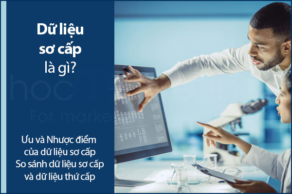 Dữ liệu sơ cấp (Primary data) là gì? So sánh dữ liệu sơ cấp và dữ liệu thứ cấp