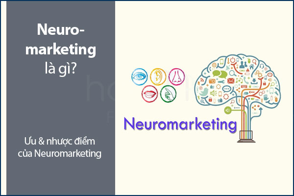 Neuromarketing là gì? Ưu & nhược điểm của Neuromarketing