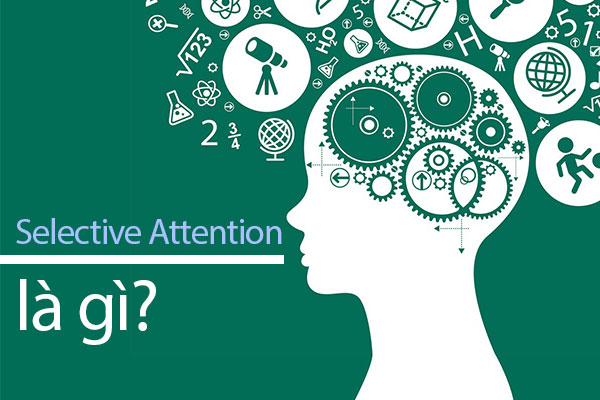 Selective Attention là gì? Ví dụ và phân tích