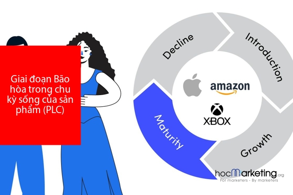 Giai đoạn Bão hòa trong chu kỳ sống của sản phẩm (PLC)