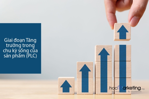 Giai đoạn Tăng trưởng trong chu kỳ sống của sản phẩm (PLC)