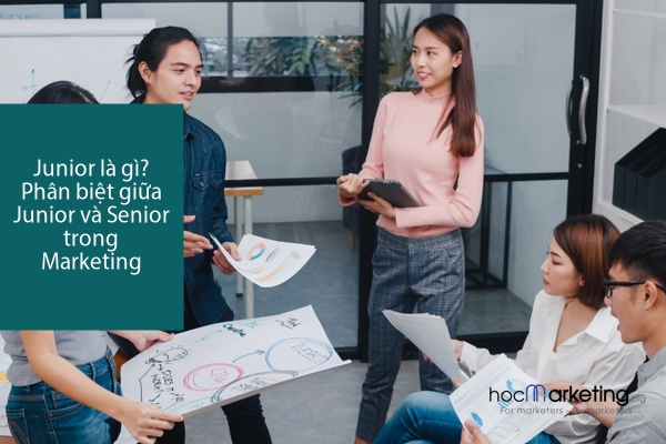 Junior là gì? Phân biệt giữa Junior và Senior trong Marketing