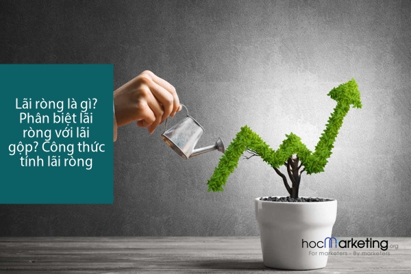 Lãi ròng là gì? Phân biệt lãi ròng với lãi gộp? Công thức tính lãi ròng