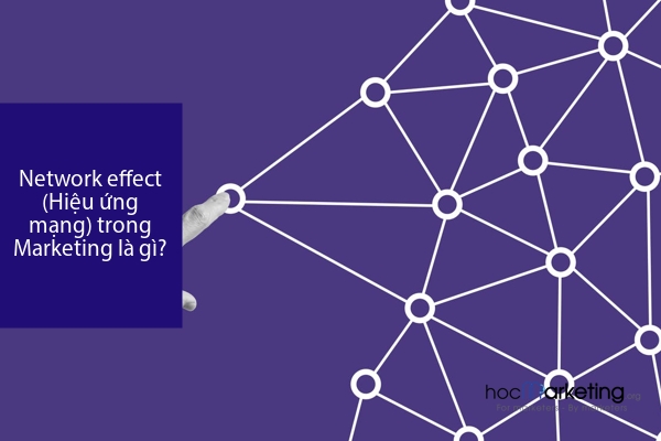 Network effect (Hiệu ứng mạng) trong Marketing là gì?