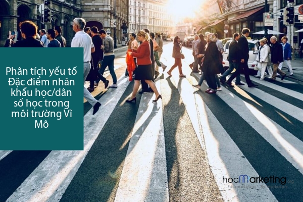 Phân tích yếu tố Đặc điểm nhân khẩu học/dân số học trong môi trường Vĩ Mô