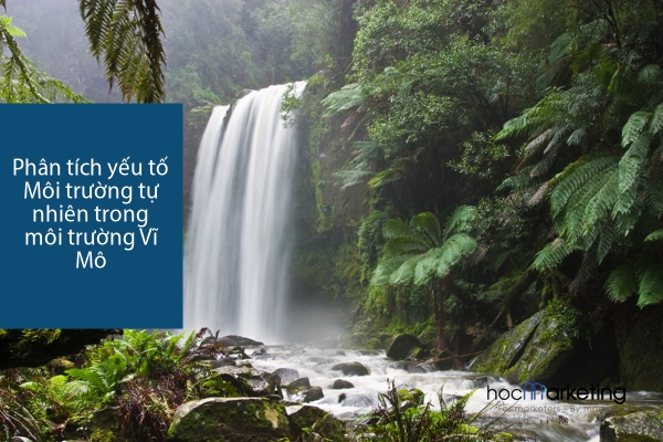 Phân tích yếu tố Môi trường tự nhiên trong môi trường Vĩ Mô