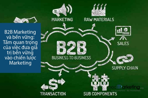 B2B Marketing và bền vững: Tầm quan trọng của việc đưa giá trị bền vững vào chiến lược Marketing