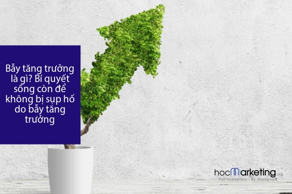 Bẫy tăng trưởng là gì? Bí quyết sống còn để không bị sụp hố do bẫy tăng trưởng