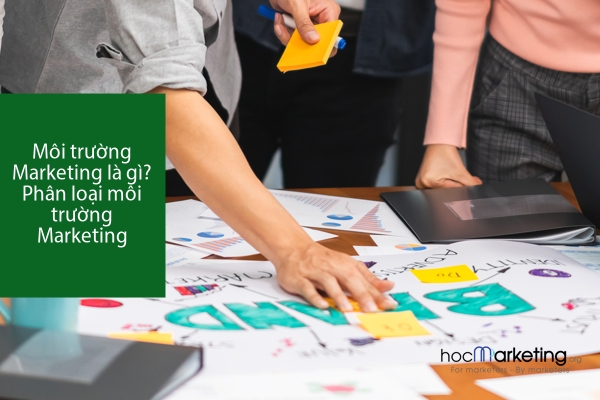 Môi trường Marketing là gì? Phân loại môi trường Marketing