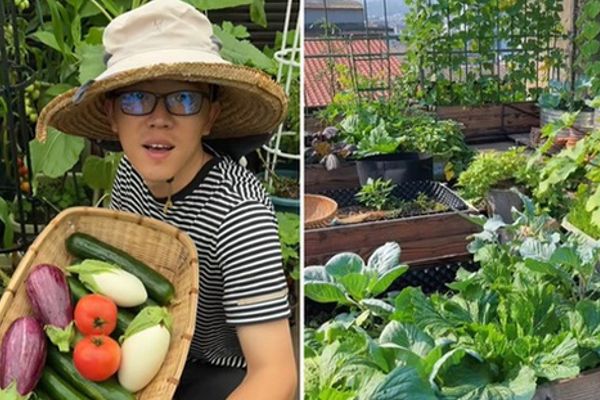 Chàng trai biến sân thượng thành vườn rau sạch siêu đẹp