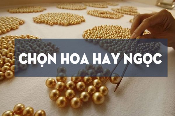 Chọn Hoa Hay Ngọc: Bí Mật Đằng Sau Chiến Dịch Viral Marketing