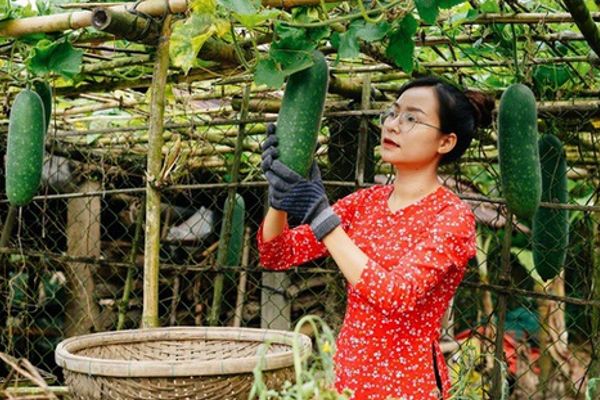 Cô gái 22 tuổi chọn trở lại làm ruộng với mức lương khá cao