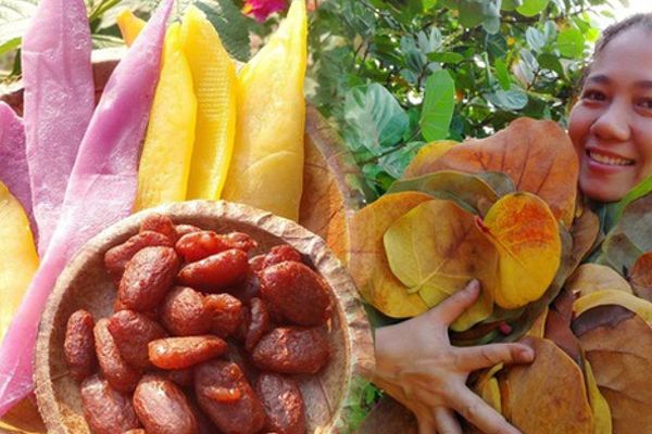 Đĩa lá ép tra - sản phẩm thân thiện môi trường cháy hàng
