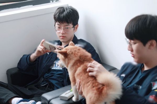 Đội tuyển LMHT LNG Esports sẽ mạnh mẽ hơn với thương vụ GALA!