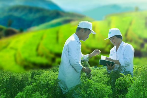 Giải mã chiến lược tăng trưởng đột phá của Traphaco