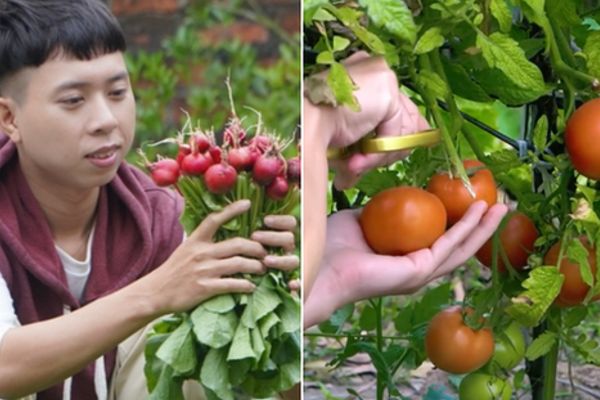 Kinh nghiệm sống ở quê với 20 triệu đồng: Cơm tấm, bún bò đầy đủ, không hối hận
