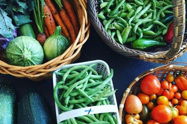 Mẹ trẻ từ thành phố về quê trồng rau sạch cùng con