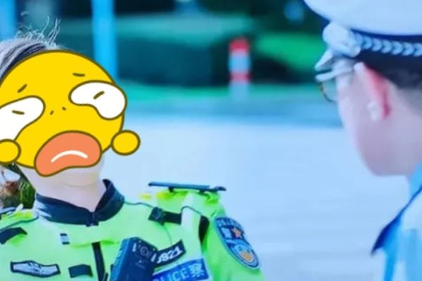 Ngọa Để Cảnh Hoa: Cơn bão chỉ trích hay bộ phim quá tệ?