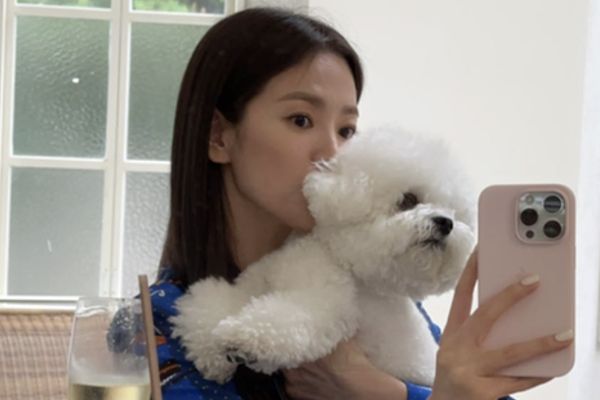 Song Hye Kyo vui vẻ bên chú chó đáng yêu