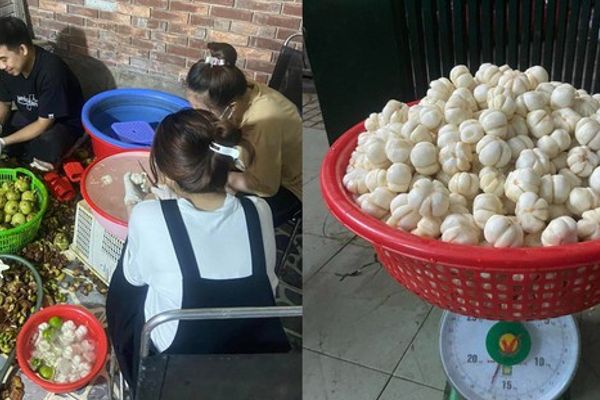 Tuyển người lột vỏ măng cụt: Kiếm 600k/ngày