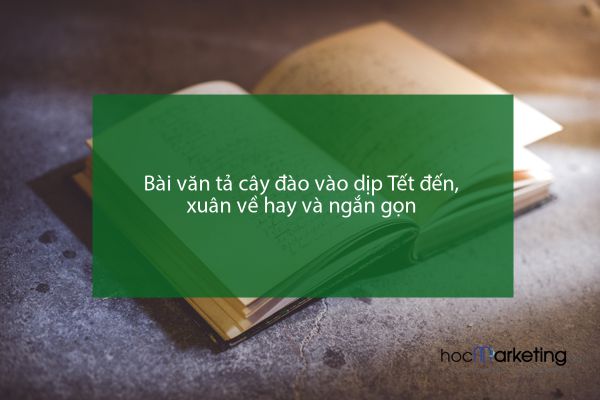 Bài văn tả cây đào vào dịp Tết đến, xuân về hay và ngắn gọn