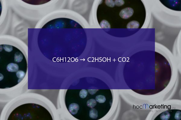 C6H12O6 → C2H5OH + CO2