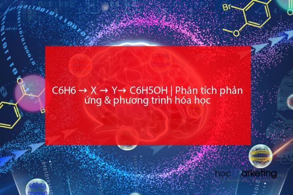 C6H6 → X → Y→ C6H5OH | Phân tích phản ứng & phương trình hóa học