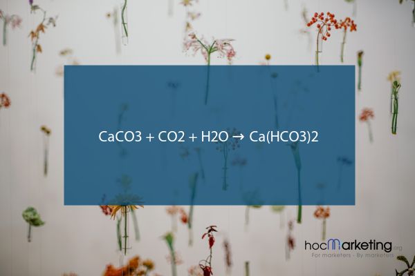 CaCO3 + CO2 + H2O → Ca(HCO3)2