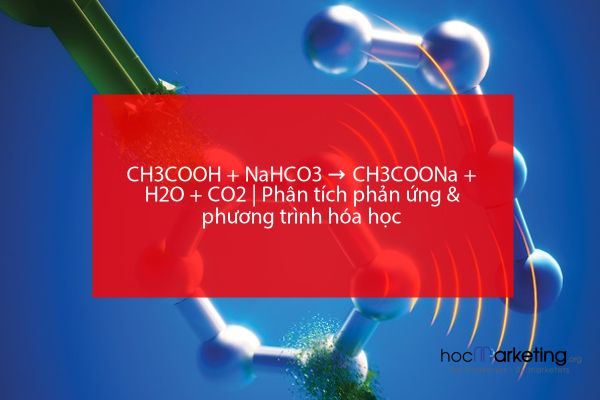 CH3COOH + NaHCO3 → CH3COONa + H2O + CO2 | Phân tích phản ứng & phương trình hóa học