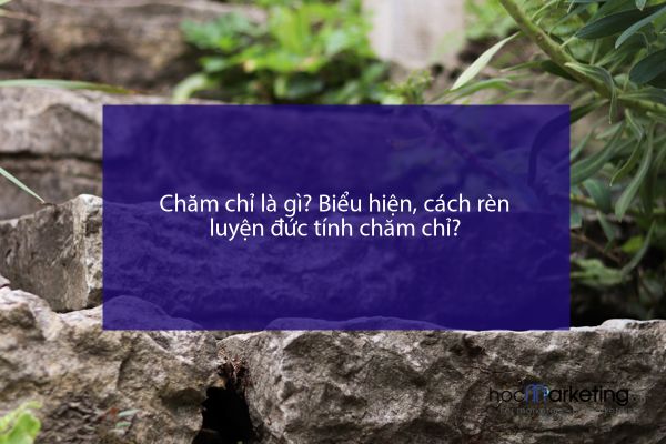 Chăm chỉ là gì? Biểu hiện, cách rèn luyện đức tính chăm chỉ?