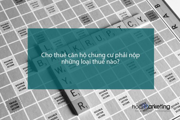 Cho thuê căn hộ chung cư phải nộp những loại thuế nào?