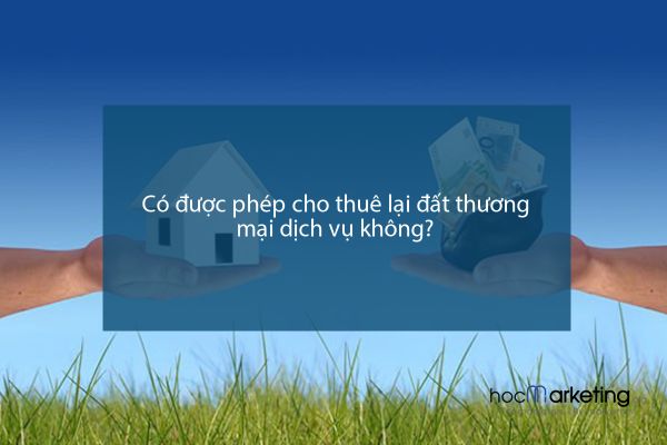 Có được phép cho thuê lại đất thương mại dịch vụ không?
