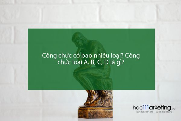 Công chức có bao nhiêu loại? Công chức loại A, B, C, D là gì?